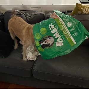 Meet your Posher, Mathew